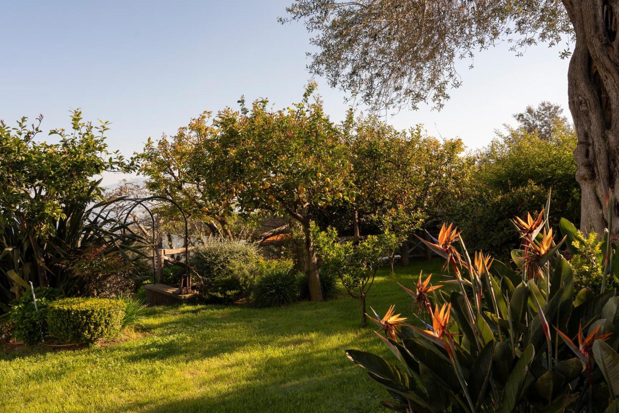 Relais Palazzo Del Barone (Adults Only) Hotel Соренто Екстериор снимка